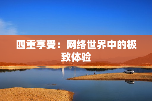 四重享受：网络世界中的极致体验