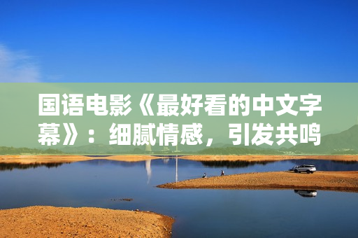 国语电影《最好看的中文字幕》：细腻情感，引发共鸣
