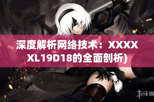 深度解析网络技术：XXXXXL19D18的全面剖析)