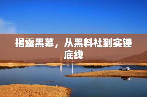 揭露黑幕，从黑料社到实锤底线