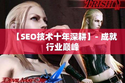 【SEO技术十年深耕】- 成就行业巅峰