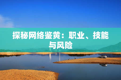 探秘网络鉴黄：职业、技能与风险