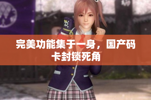 完美功能集于一身，国产码卡封锁死角