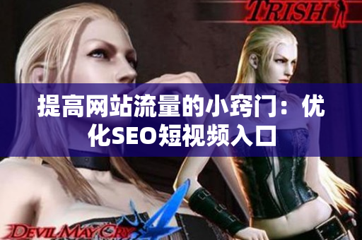 提高网站流量的小窍门：优化SEO短视频入口