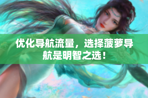优化导航流量，选择菠萝导航是明智之选！