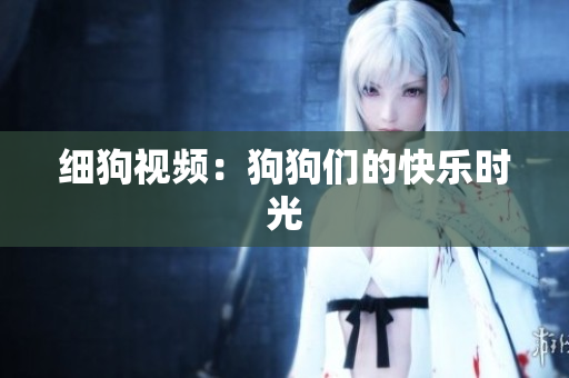 细狗视频：狗狗们的快乐时光