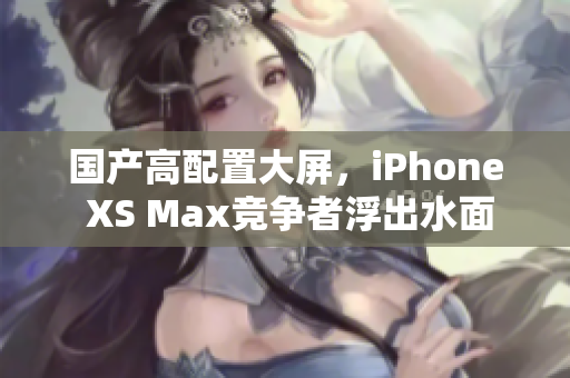 国产高配置大屏，iPhone XS Max竞争者浮出水面