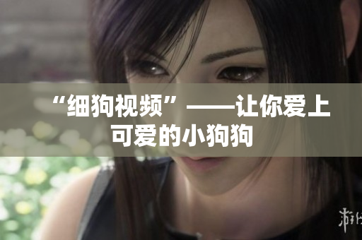 “细狗视频”——让你爱上可爱的小狗狗