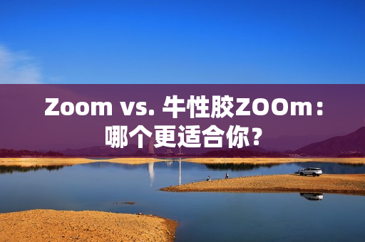 Zoom vs. 牛性胶ZOOm：哪个更适合你？