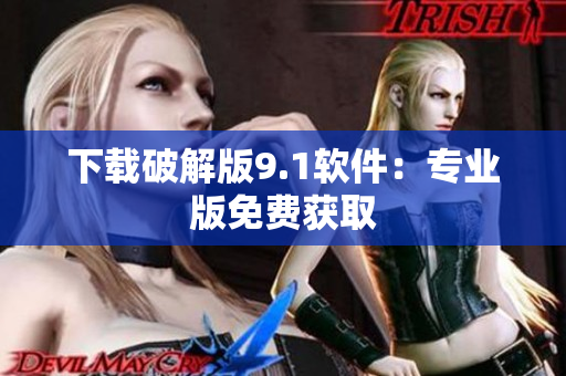 下载破解版9.1软件：专业版免费获取