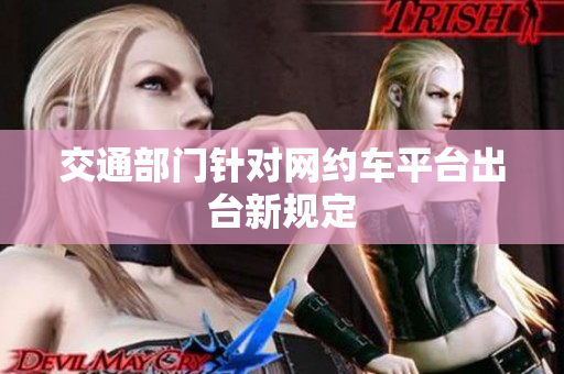 交通部门针对网约车平台出台新规定
