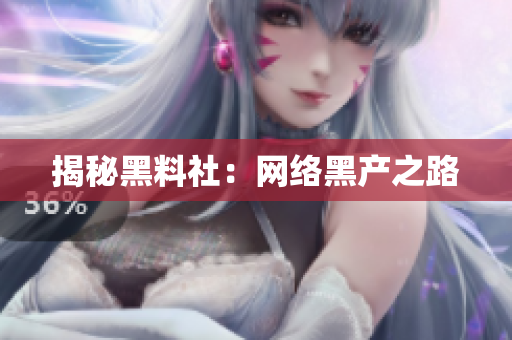 揭秘黑料社：网络黑产之路