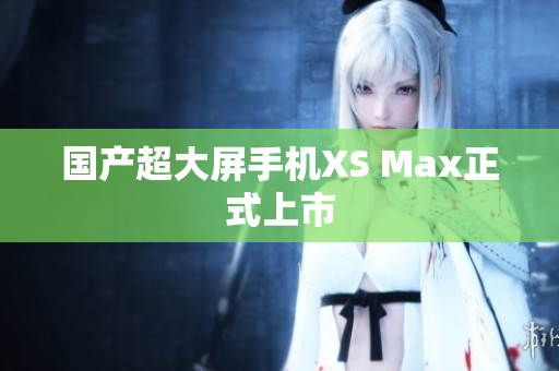 国产超大屏手机XS Max正式上市