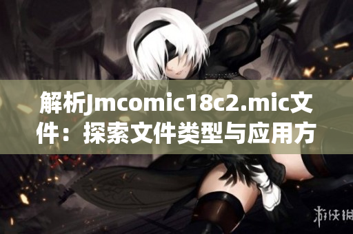 解析Jmcomic18c2.mic文件：探索文件类型与应用方法
