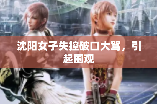 沈阳女子失控破口大骂，引起围观