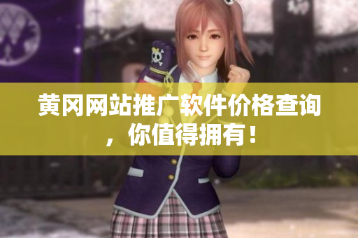 黄冈网站推广软件价格查询，你值得拥有！