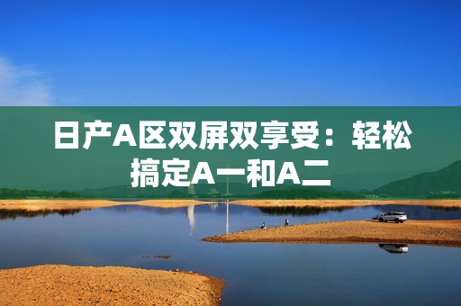 日产A区双屏双享受：轻松搞定A一和A二