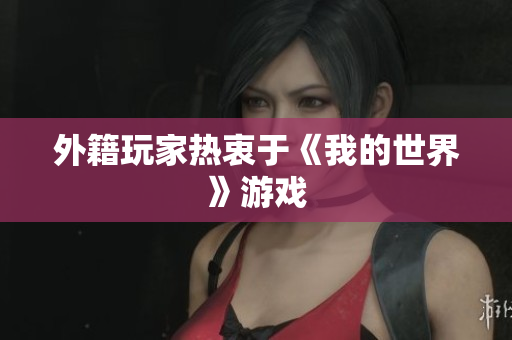 外籍玩家热衷于《我的世界》游戏