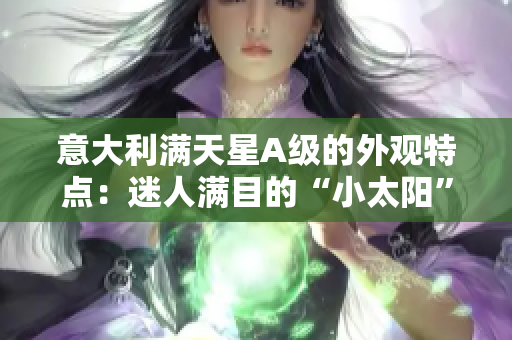 意大利满天星A级的外观特点：迷人满目的“小太阳”花朵