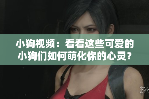 小狗视频：看看这些可爱的小狗们如何萌化你的心灵？