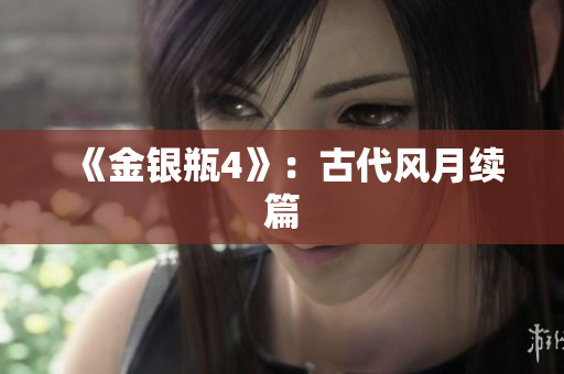 《金银瓶4》：古代风月续篇