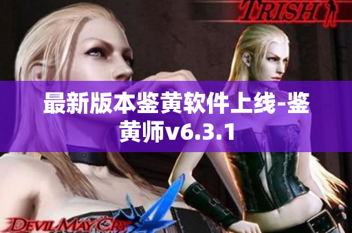 最新版本鉴黄软件上线-鉴黄师v6.3.1