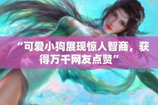 “可爱小狗展现惊人智商，获得万千网友点赞”