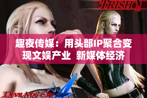 趣夜传媒：用头部IP聚合变现文娱产业  新媒体经济