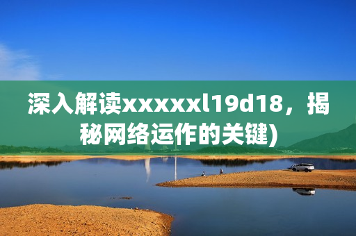 深入解读xxxxxl19d18，揭秘网络运作的关键)