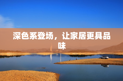 深色系登场，让家居更具品味