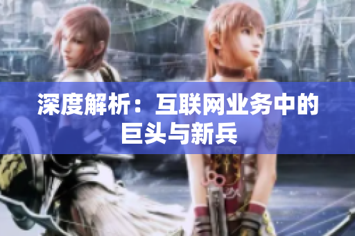 深度解析：互联网业务中的巨头与新兵