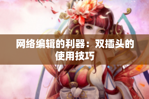 网络编辑的利器：双插头的使用技巧