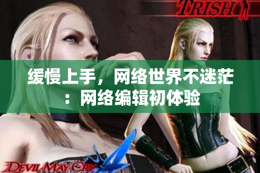 缓慢上手，网络世界不迷茫：网络编辑初体验