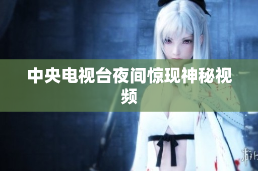 中央电视台夜间惊现神秘视频