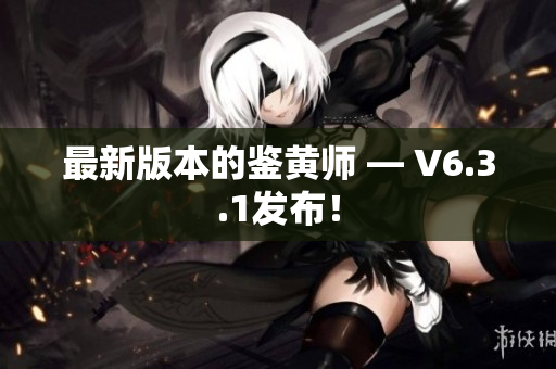 最新版本的鉴黄师 — V6.3.1发布！