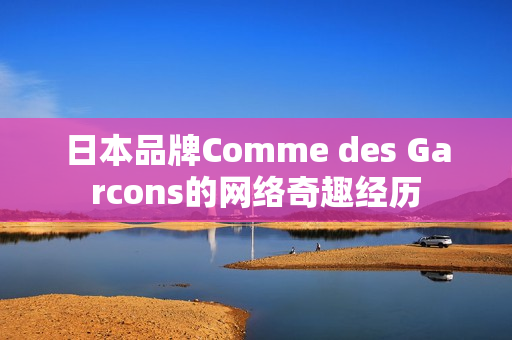 日本品牌Comme des Garcons的网络奇趣经历