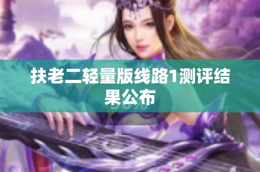 扶老二轻量版线路1测评结果公布