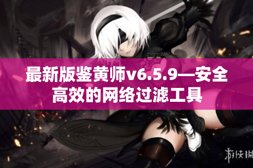 最新版鉴黄师v6.5.9—安全高效的网络过滤工具