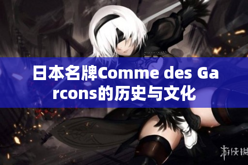 日本名牌Comme des Garcons的历史与文化