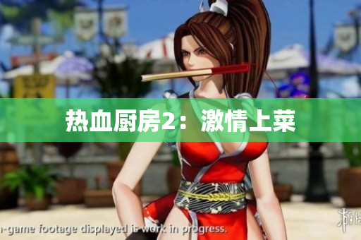 热血厨房2：激情上菜