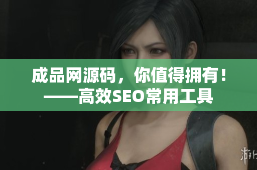 成品网源码，你值得拥有！——高效SEO常用工具