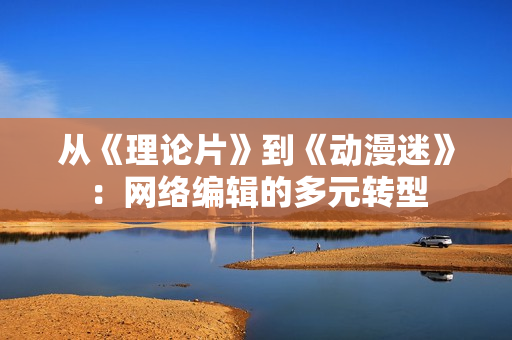 从《理论片》到《动漫迷》：网络编辑的多元转型