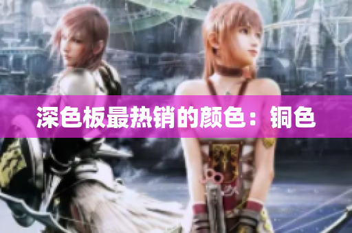深色板最热销的颜色：铜色