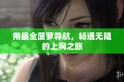 用最全菠萝导航，畅通无阻的上网之旅