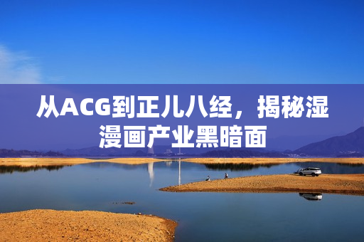 从ACG到正儿八经，揭秘湿漫画产业黑暗面