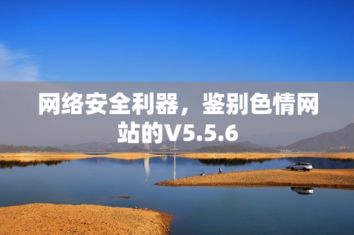 网络安全利器，鉴别色情网站的V5.5.6