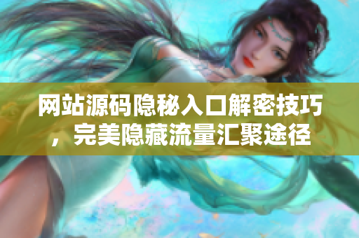 网站源码隐秘入口解密技巧，完美隐藏流量汇聚途径