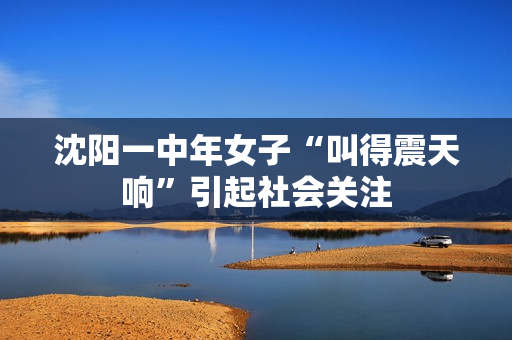 沈阳一中年女子“叫得震天响”引起社会关注