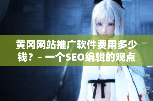 黄冈网站推广软件费用多少钱？- 一个SEO编辑的观点