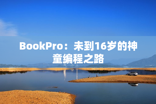 BookPro：未到16岁的神童编程之路